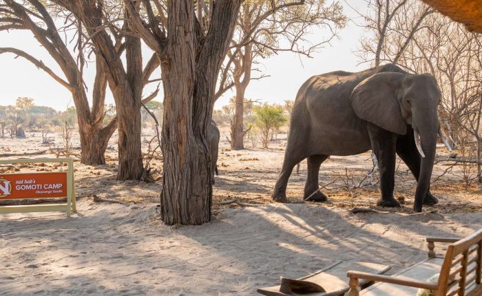 Botswana luxury tour by Safari Soul Africa