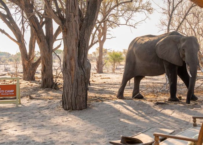 Botswana luxury tour by Safari Soul Africa