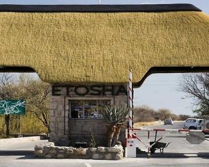 Etosha national park