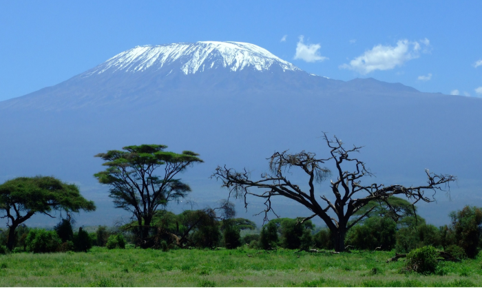 climb mt kilimanjaro