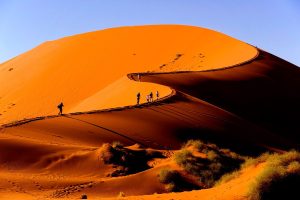 Sossusvlei Dunes best safari