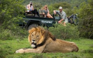 Kwandwe Private Game Reserve