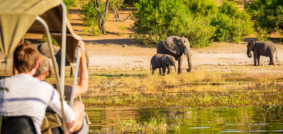 soul safari kenya